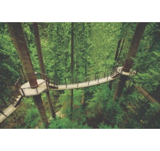 Capilano Suspension Bridge Park