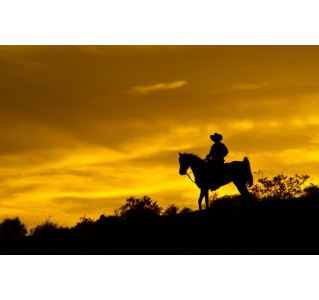 The Wild Wild West Sunset Dinner Ride