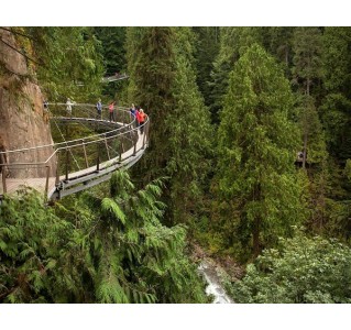 Vancouver City Tour & Capilano Suspension Bridge Park