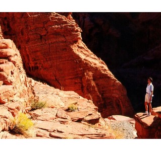 Valley Of Fire & Lost City Museum