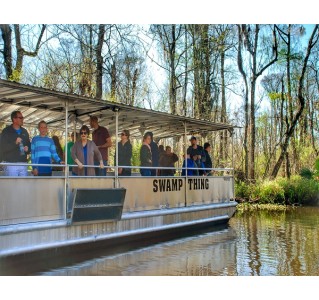 Plantation & Swamp Combination Tour