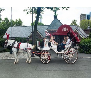 Central Park Horse & Carriage Ride (15-20 Minutes)