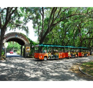 St Augustine Day Tour Plus Trolley Tour 