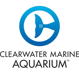 Clearwater Marine Aquarium (Admission Only)