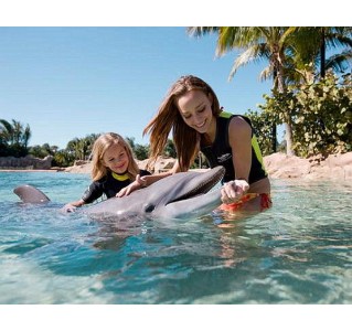 Discovery Cove Dolphin Swim Package 