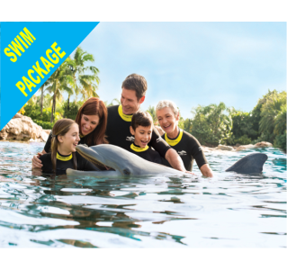 Discovery Cove Dolphin Swim Package 