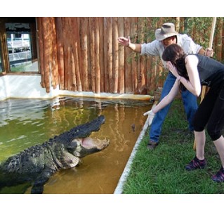 Gatorland Admission Ticket & Trainer For a Day