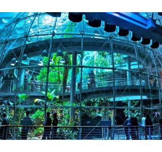 California Academy of Sciences - General Admission