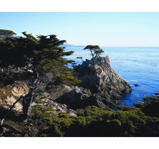 Monterey and Carmel Tour 